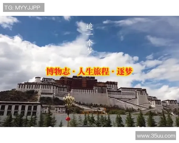 乒乓球场上的追梦旅程:杨静的奋斗与成长故事 乒乓球场上的追梦旅程:杨静的奋斗与成长故事